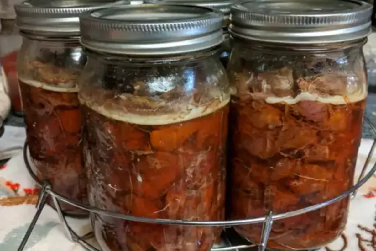 Jars of canned deer meat arranged on a wooden countertop, sealed and ready for storage